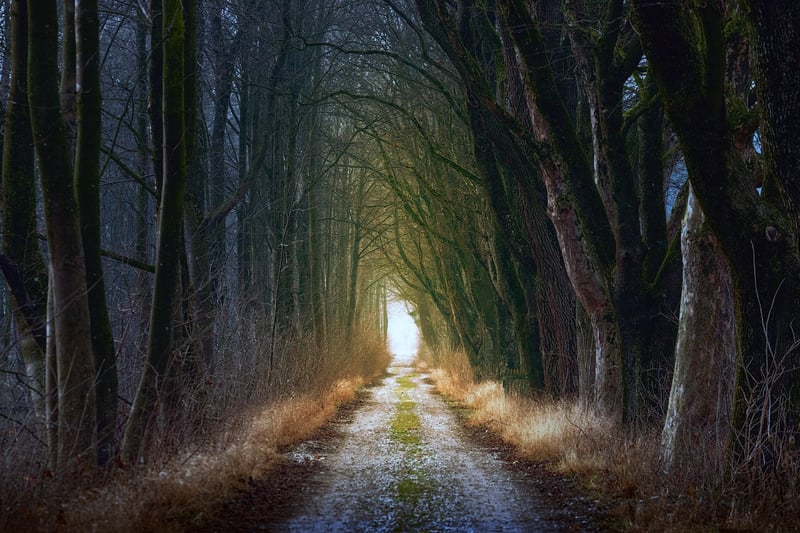Mystical Fairytale